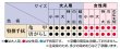 画像3: 鯉口シャツ（江戸一/特選手拭/唐がらし） (3)